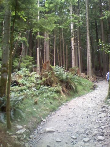 0806021537a.jpg