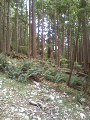 0806021537b.jpg