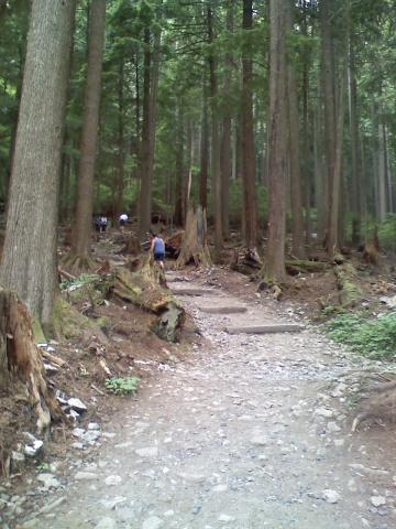 0806021538.jpg