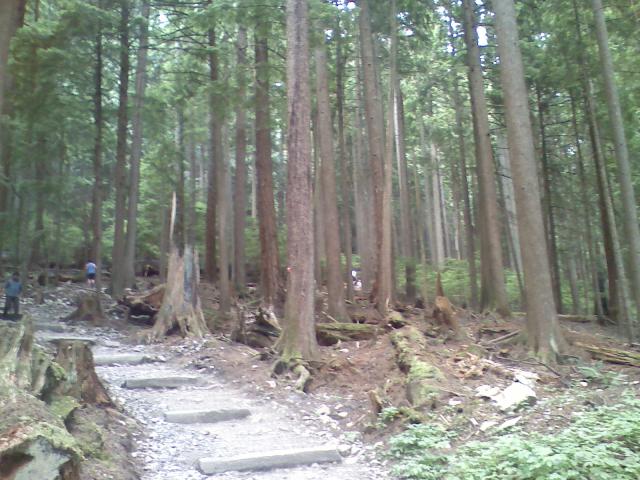 0806021538c.jpg
