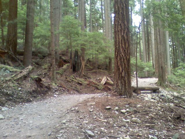 0806021539.jpg