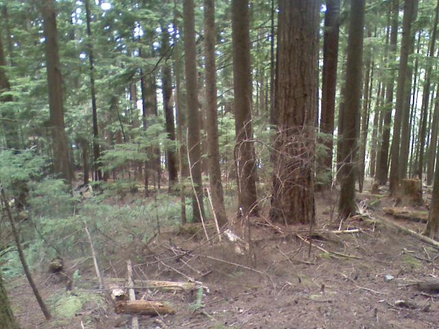 0806021540.jpg