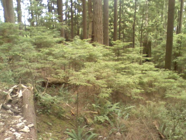 0806021540a.jpg