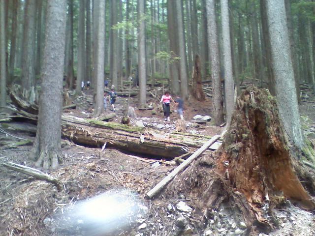 0806021543.jpg