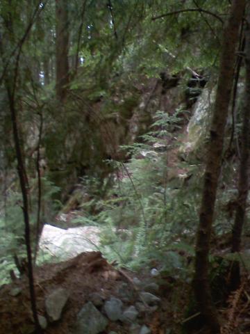 0806021602b.jpg