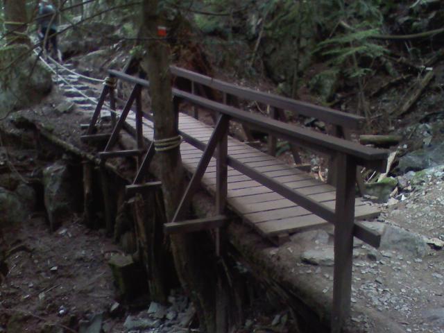0806021603a.jpg