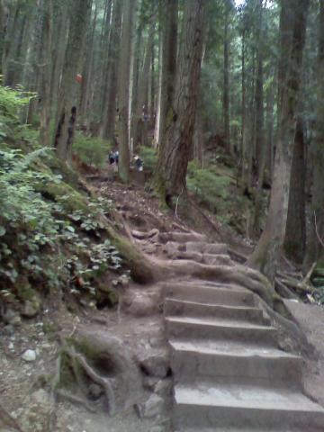 0806021605b.jpg