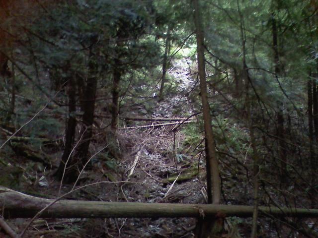 0806021605d.jpg