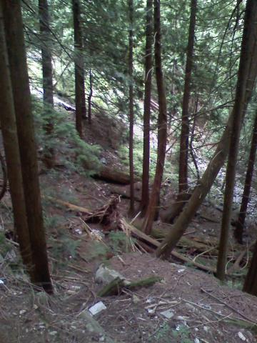 0806021608b.jpg