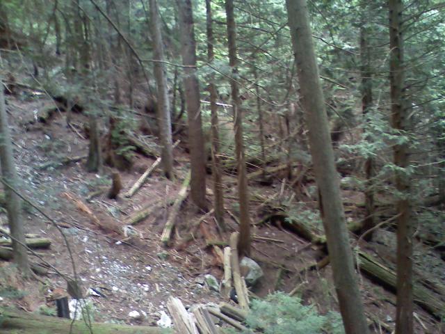 0806021613a.jpg