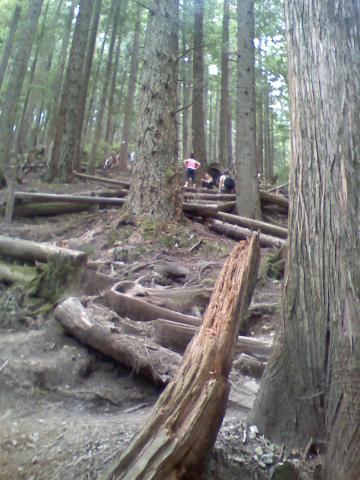 0806021622a.jpg