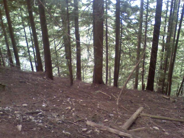 0806021642a.jpg