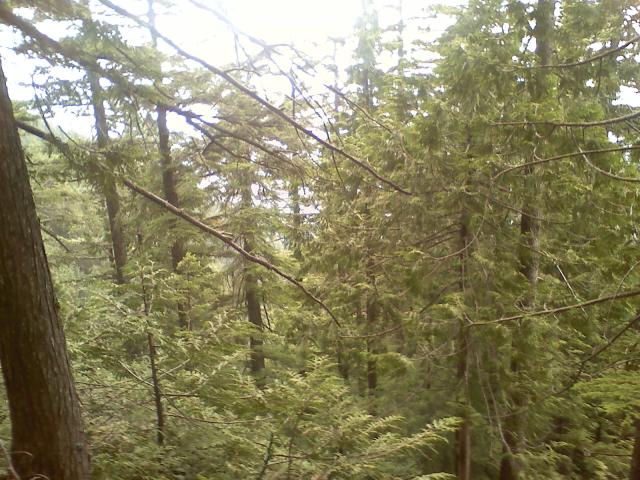 0806021654.jpg