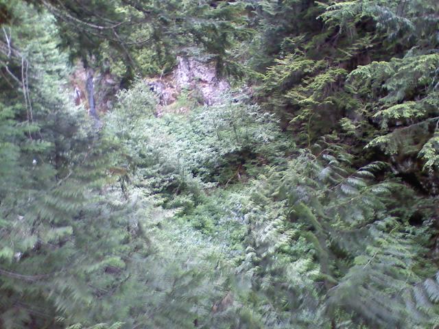 0806021704a.jpg