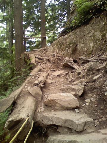 0806021713d.jpg