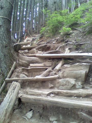 0806021726a.jpg