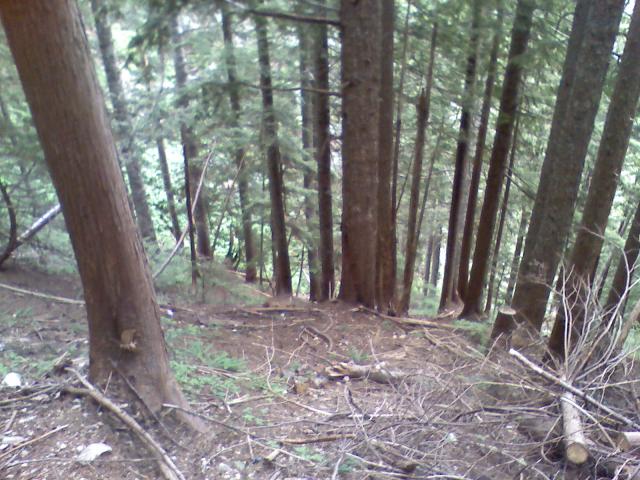 0806021731a.jpg