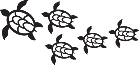 turtles.jpg
